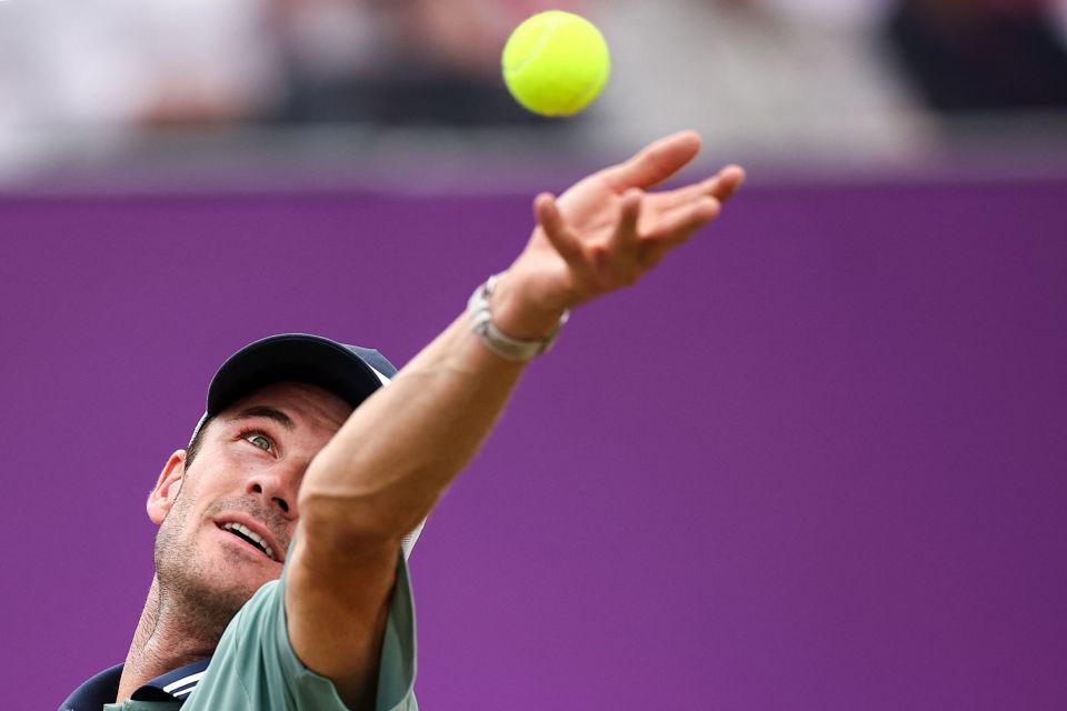 场上赢得开 场上赢得开