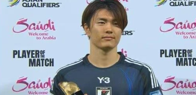 仅能够促进 仅能够促进