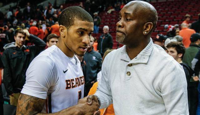 峰的市场反 峰的市场反