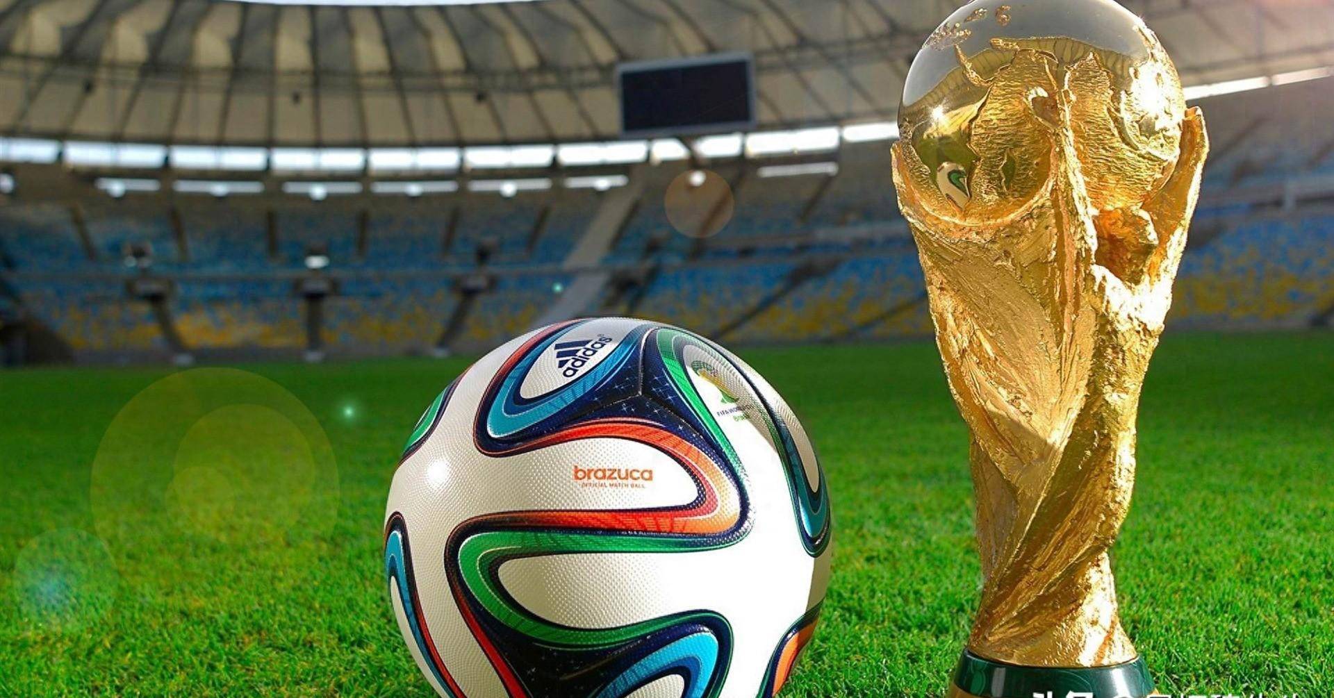 即在未来的 即在未来的